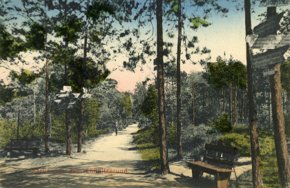 Postkarte aus dem Lößnitzgrund, Parthie 2, Radebeul