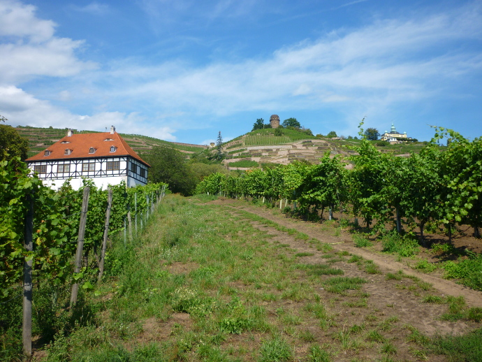  En suivant le petit chemin tout droit devant l'hôtel Goldener Anker, on arriv... 