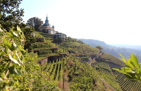 Blick zum Spitzhaus in Radebeul