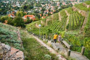 Radebeul entdecken