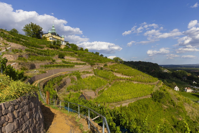  Une randonnée à travers des vignobles cachés et des sites historiques 