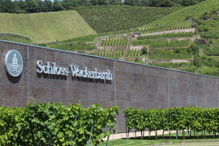 Gläserne Manufaktur Schloss Wackerbarth - Erleben Sie die Faszination der Weinkelterei