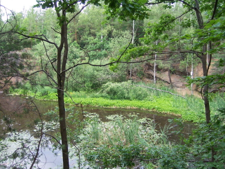 Radebeuler Seerosenteich Ufer