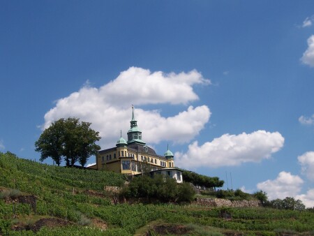 Das Spitzhaus Radebeul: Spitzengastronomie auf den Weinbergen