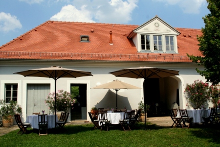 Ansicht Weingut Haus Steinbach, Radebeul