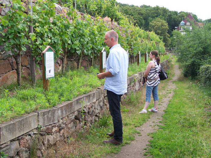  Sur l'itinéraire passant par Zitzschewig, la montée raide vers la Wettinhöhe ... 
